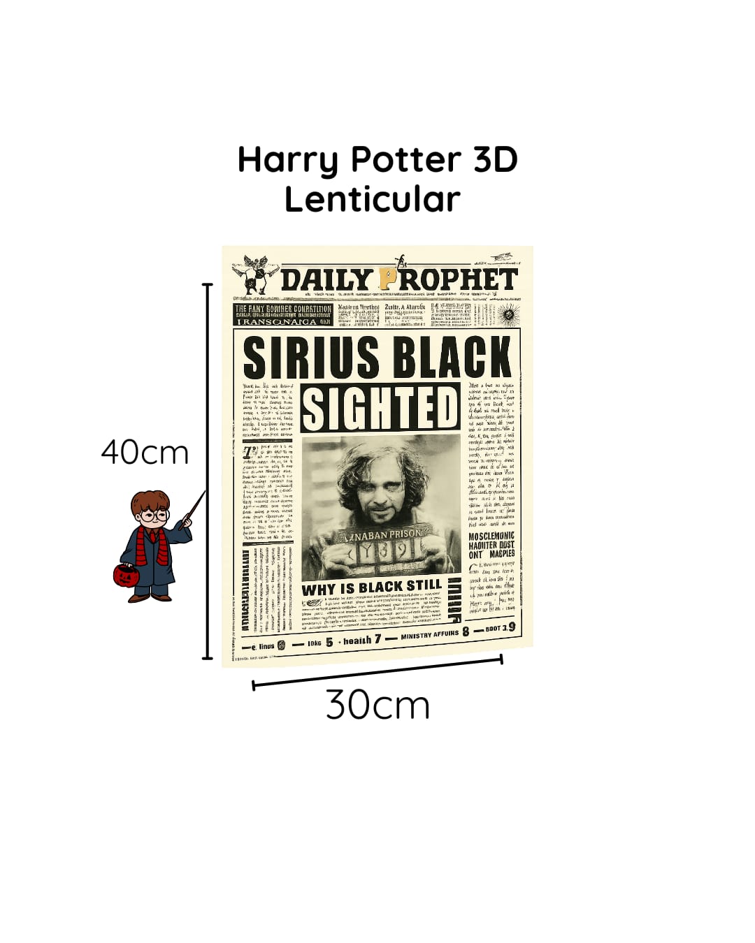 Harry Potter 3D Lenticular Poster