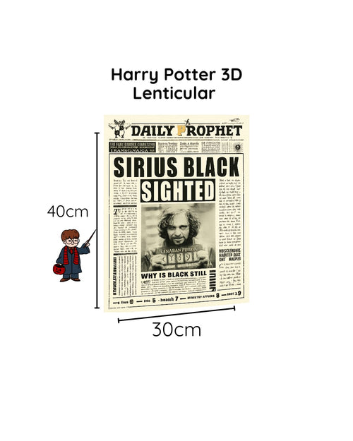 Harry Potter 3D Lenticular Poster