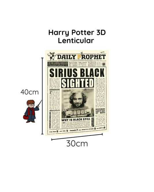 Harry Potter 3D Lenticular Poster