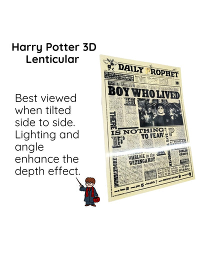 Harry Potter 3D Lenticular Poster