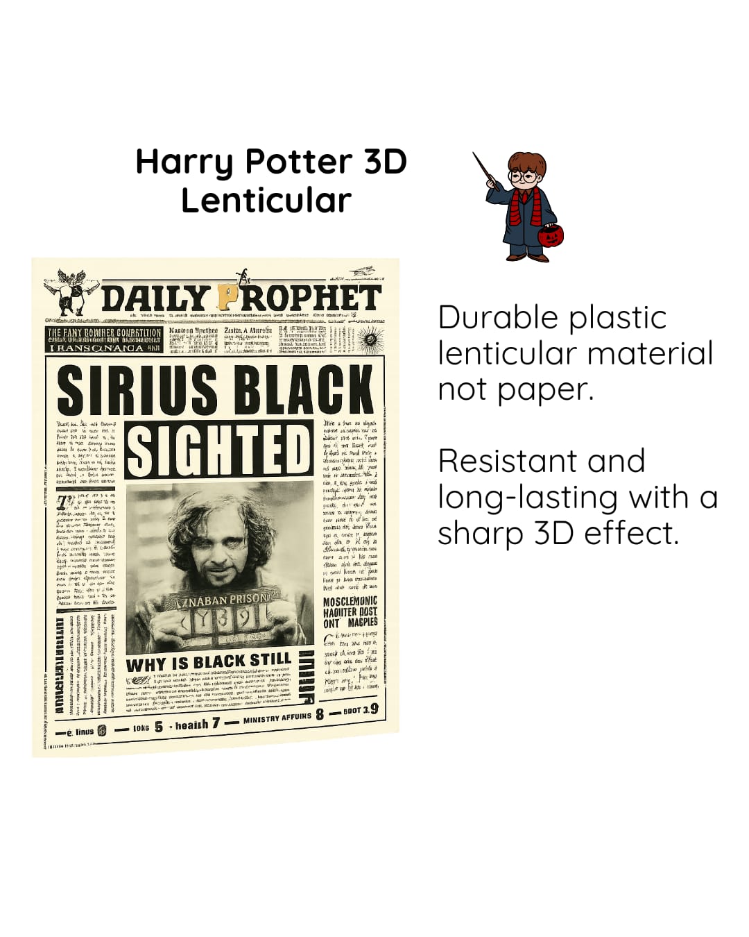 Harry Potter 3D Lenticular Poster